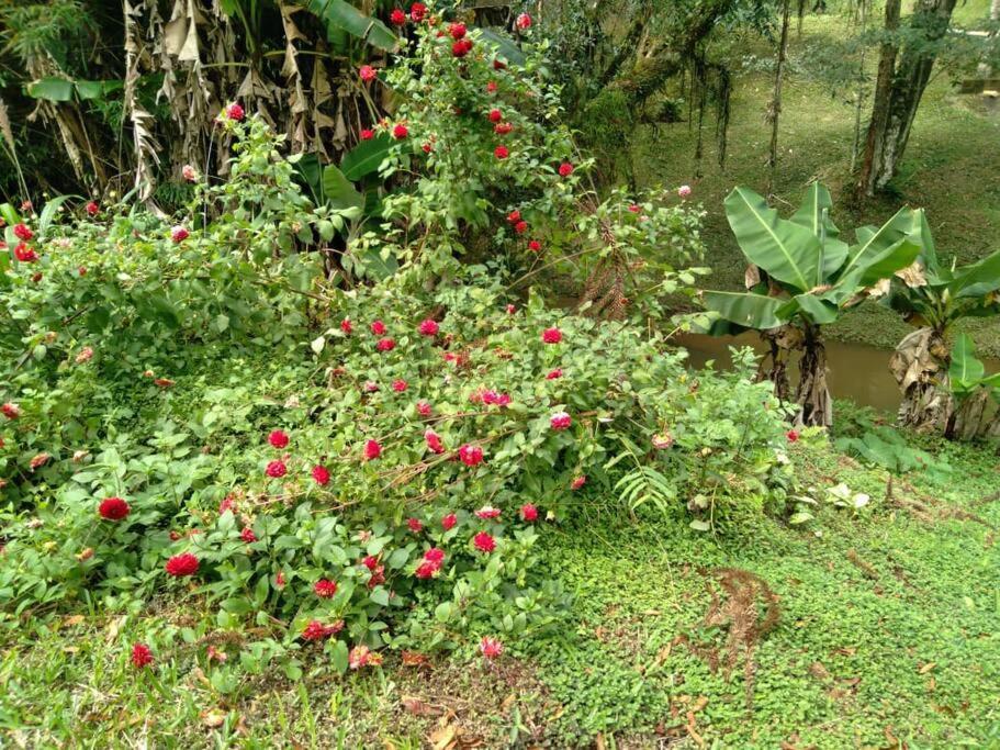 Casa De Campo Agradavel Com Piscina, Parquinho, Lago, Riacho, Quadra, Sinuca E Mais! Villa Жукитиба Екстериор снимка